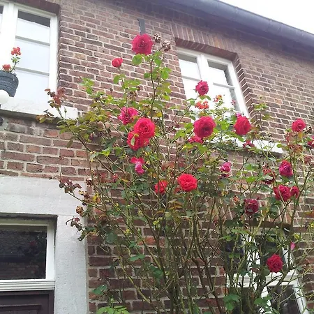 La Maison D'achille